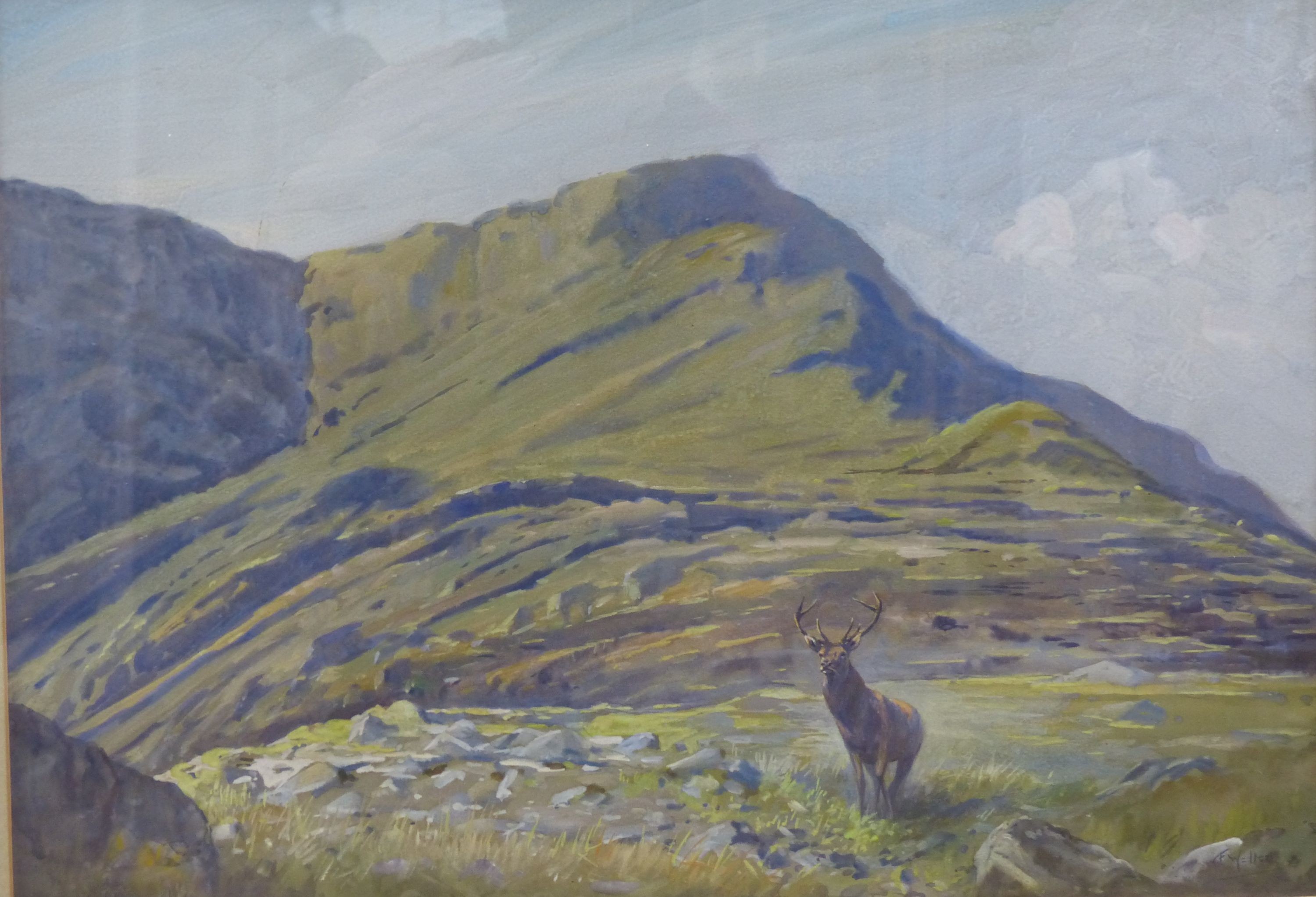 F. Weller, watercolour, Stag in the Highlands, signed, 36 x 52cm